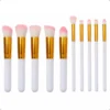 Set de brochas