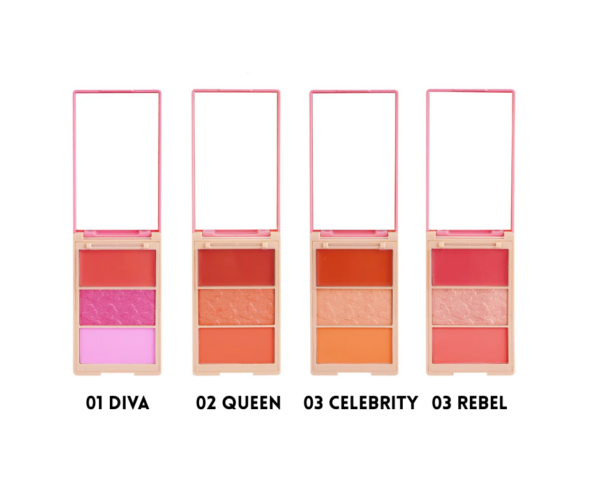 VARIASNB Rubor x3 pretty blush Purpure